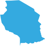 Icon of Tanzania
